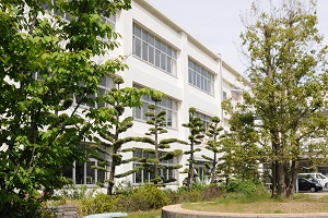 中庭(西から).jpg
